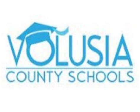 volusia county online portal